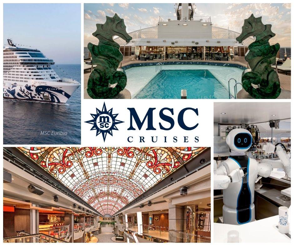 Image for Everything you need to know about MSC