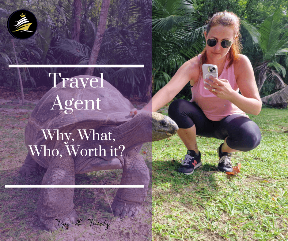 Image for What Travel Agent Do?